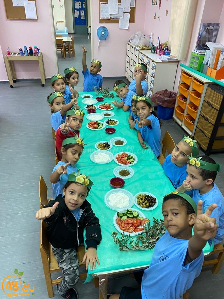 فعاليات الزّيت والزّيتون في مدرسة الأخوة العربية يافا 